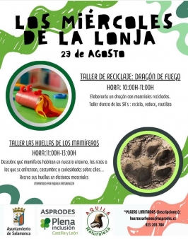 Los miércoles de la Lonja en Salamanca