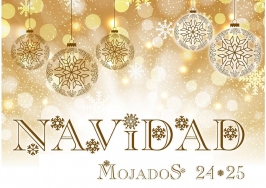 Navidad en Mojados 24-25