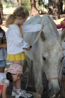 Campamentos de verano en Equimland