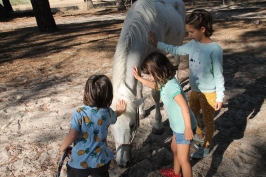 Campamentos de verano en Equimland