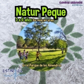 Campamento Urbano Valladolid: NaturPeque