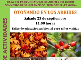 "Otoñando en los Arribes" en Fermoselle 