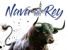 Fiesta de los Novillos en Nava del Rey