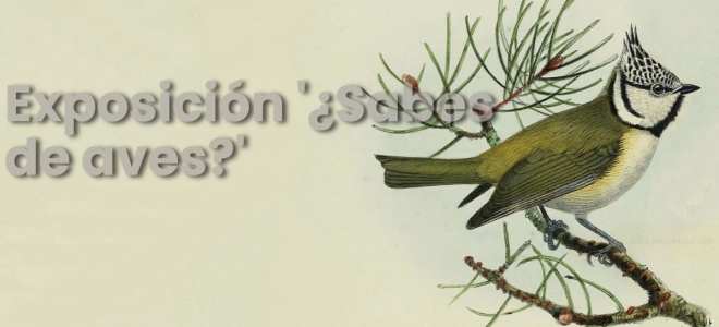 Exposición "¿Sabes de aves?" en el Museo de la Ciencia